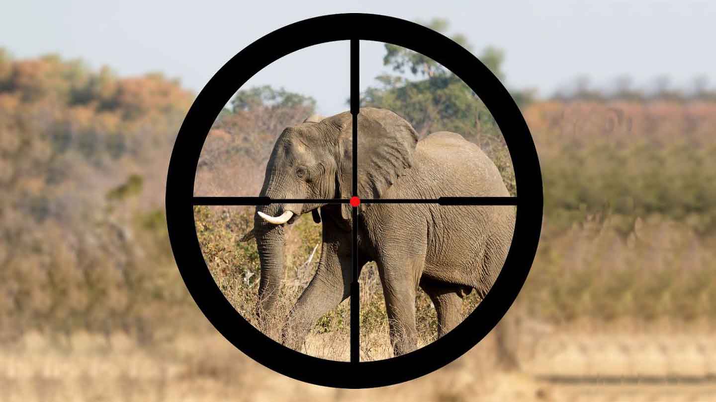 Botswana Allows Trophy Hunting
