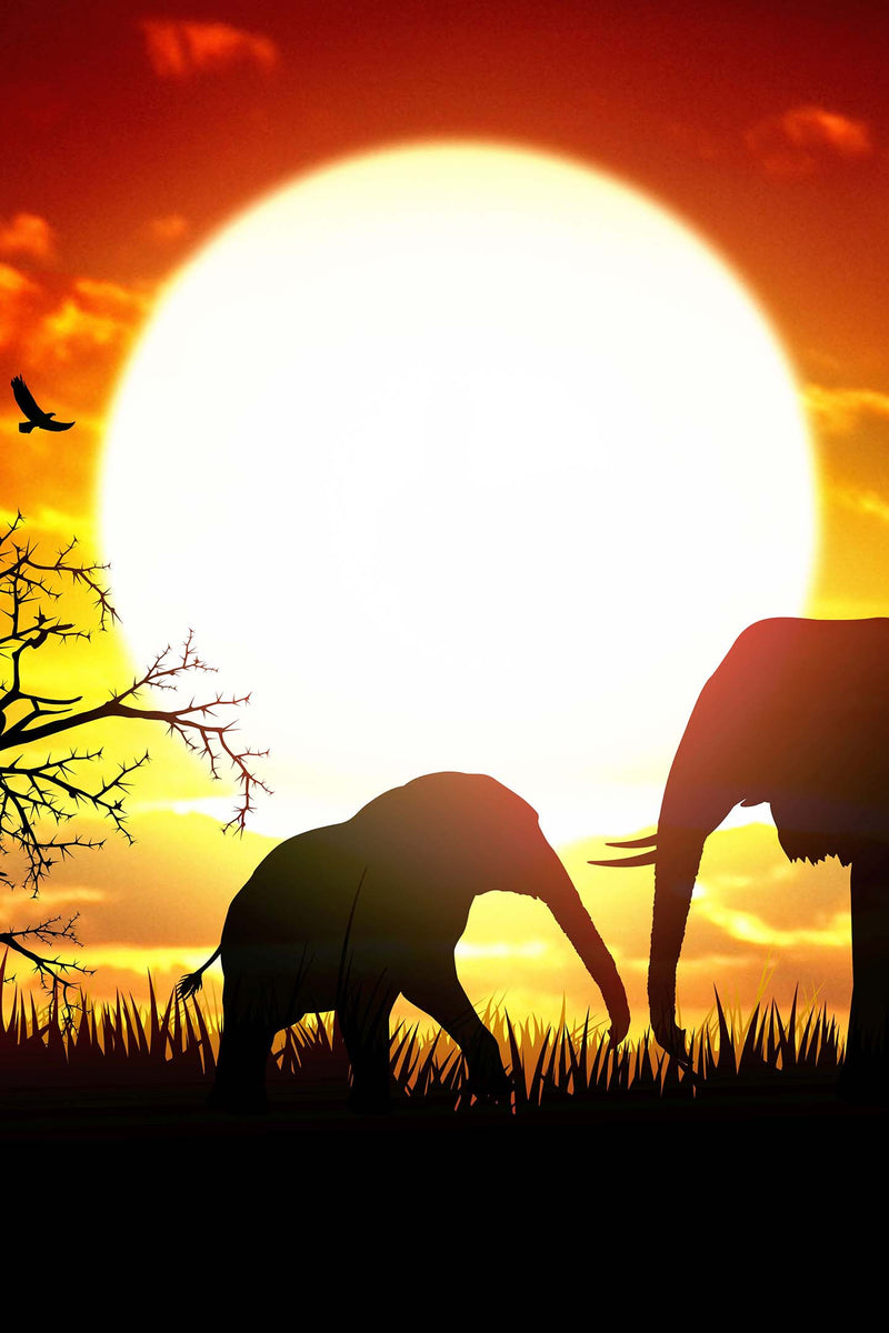 African-Elephant-Mother-Baby-Sunset-Sufferring-Apparel-1440x2160
