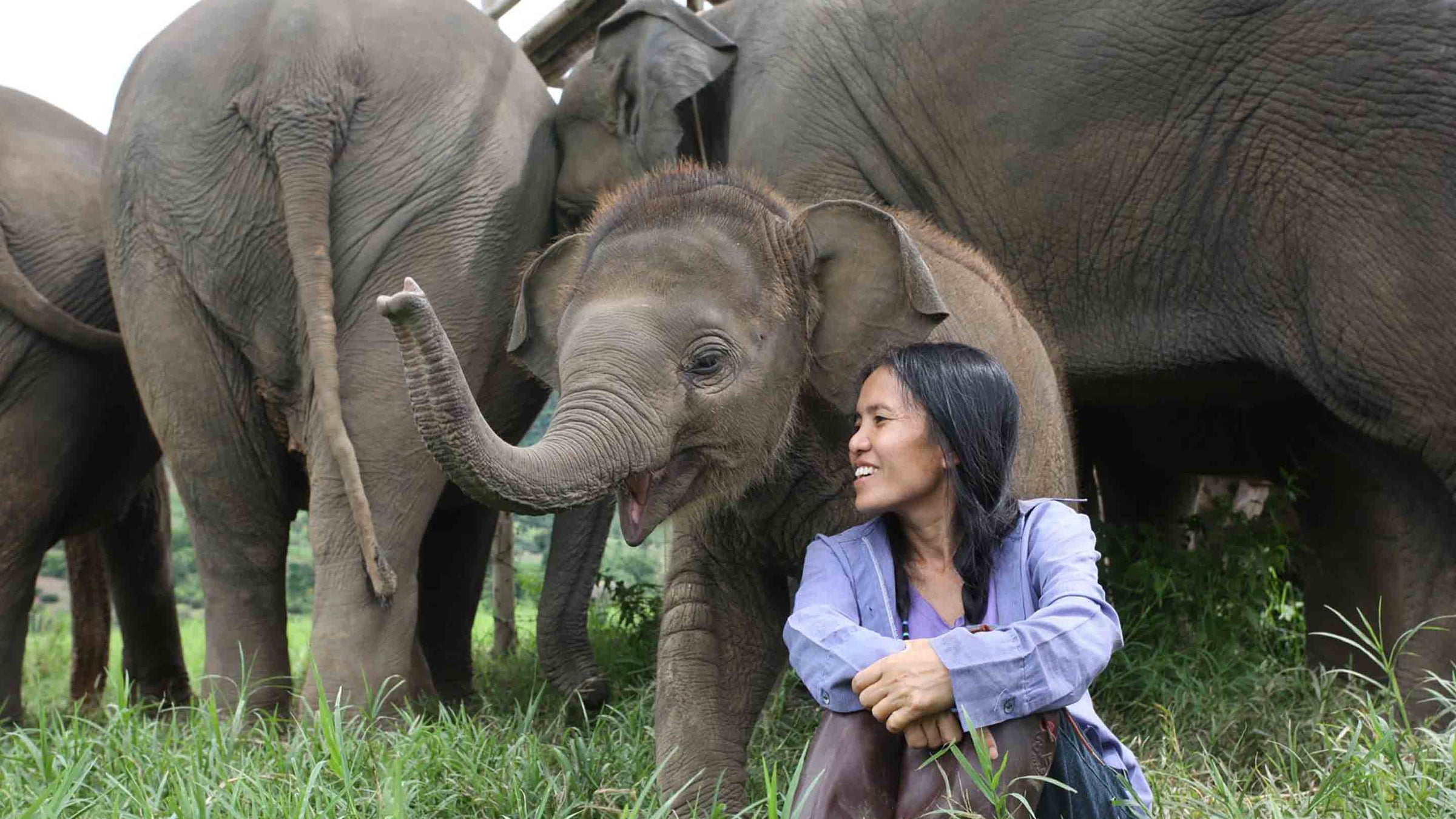 Elephant-Conservation-Sufferring-Apparel-com-ENPBlog-Banner-2880x1620.jpg